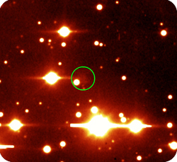 echo_caha_colour_small